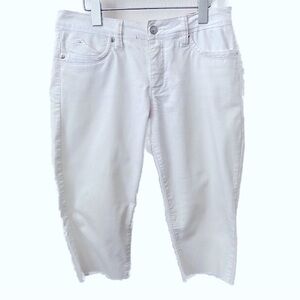 Royalty For Me Wanna Betta Butt?, White Crop Jeans Shorts